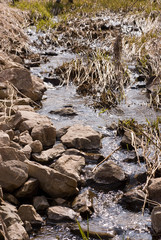 Rocky Stream