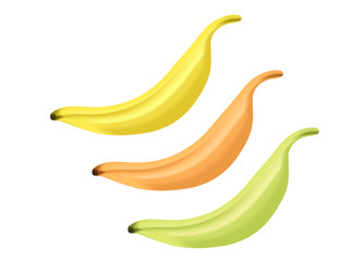Creative banana set isolated over white background