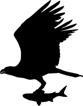 vektor