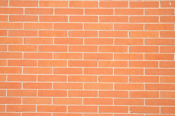 the wall