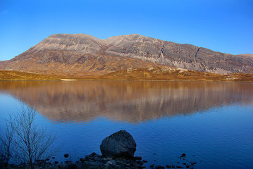 REFLECTIONS OF ARKLE