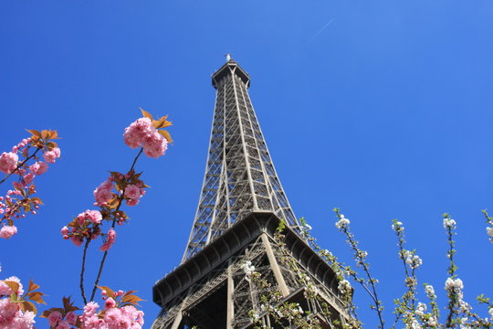 architecture eiffel