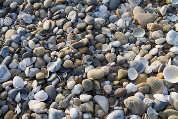 stone
