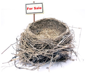bird nest - real estate '08 2