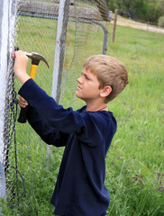 Building a Chicken Coop © judwick