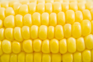 Corn detail
