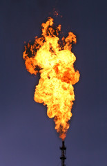 Huge torch 