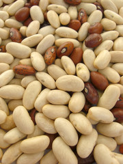 Beans