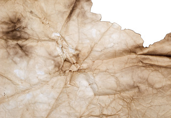 wrinkled burnt paper