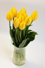 Yellow Tulips in a Vase