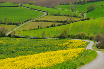 Naklejka premium on the road