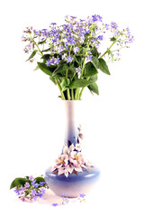 Bouquet of forget-me-nots on a white background