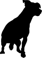 hund