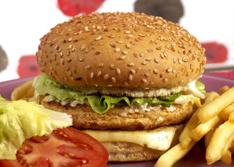 Burger series