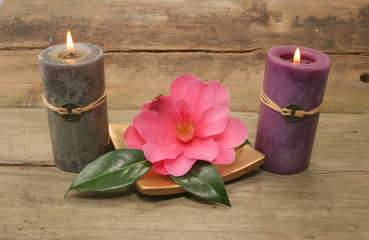 Two candles and a flower