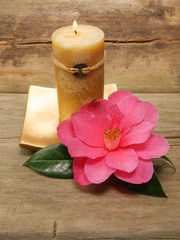 Obraz na płótnie Canvas Feng Shui candle and camellia