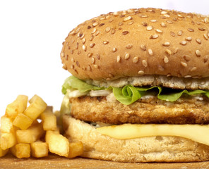 Burger series