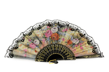 Traditional Asian Fan