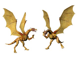 Dragon Pair