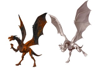 Naklejka premium Dragon Pair