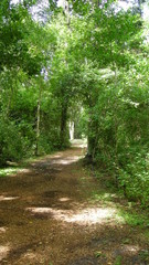 Naturistic Pathway