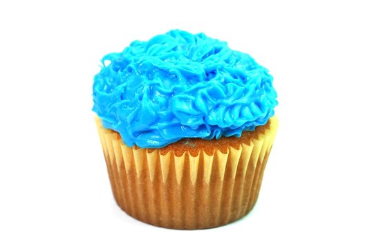 Blue Cupcake