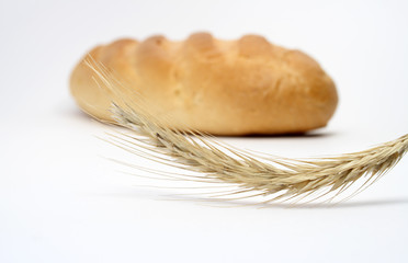 Close-up at wheat ear on background with white bread stick