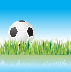 football on grass, nature, vector illustration