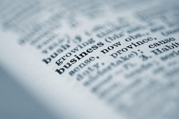 Fototapeta premium business dictionary