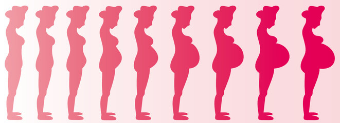 Pregnant Woman (Girl) Months 1-9