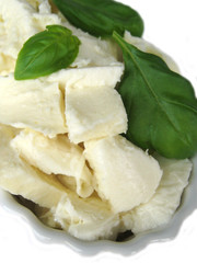 mozzarella