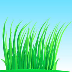 Fototapeta premium Wisp of lush grass.