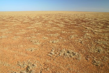 Oodnadatta track
