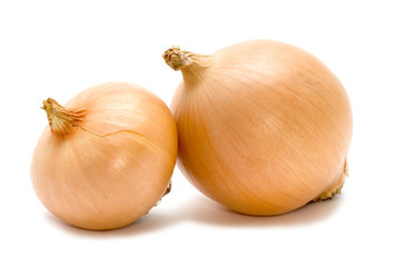 Two bulb onion