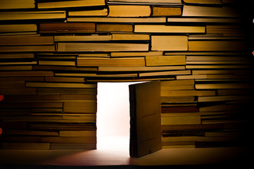 Wall of books with open door
