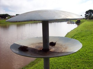 secchio di immondizia