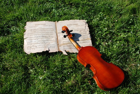 musique sur l'herbe