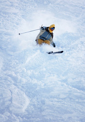 skieur2