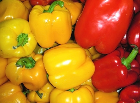 Yellow and red capcicum