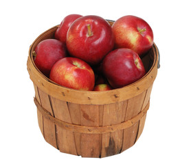 Apples in Basket