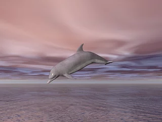 Türaufkleber Delfin © Paul Moore