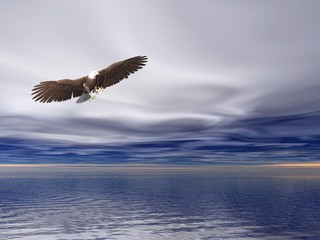 Fototapeta premium Bald Eagle