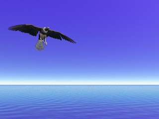 Falcon