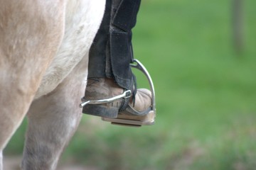 Reiten - Sporen