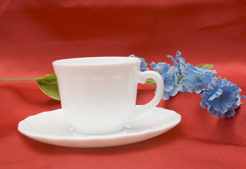 cup and flower