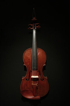 Violon
