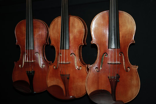 Violons