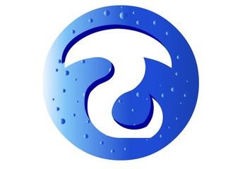 Capricorn Zodiac Sign