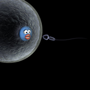 Sperm swimming towards a smiley egg