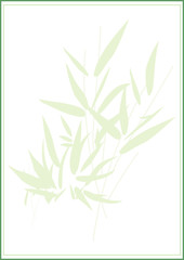 bambou carte
